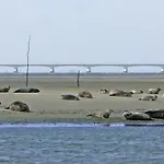 Waterland * Ooltgensplaat