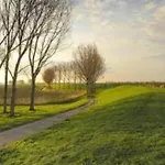 Waterland *