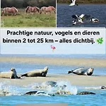 Waterland * Ooltgensplaat