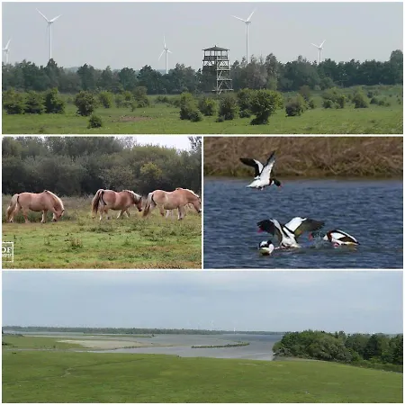 Waterland * Ooltgensplaat