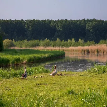 Waterland * Ooltgensplaat