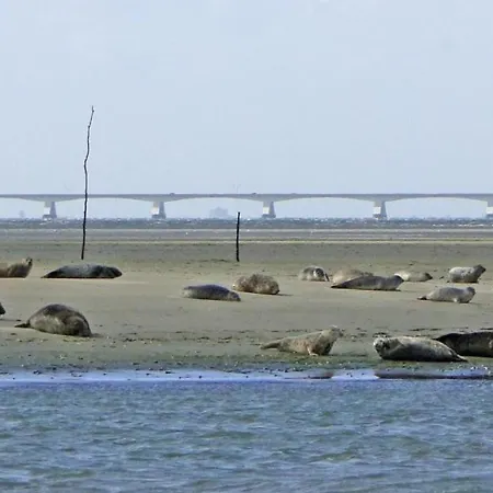 Waterland * Ooltgensplaat