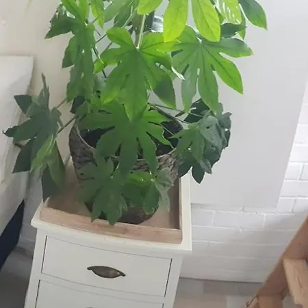 Appartement Waterland