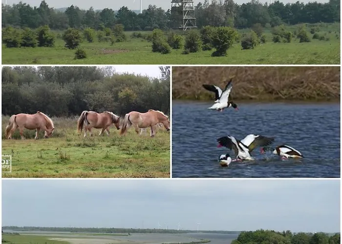 Waterland * Ooltgensplaat