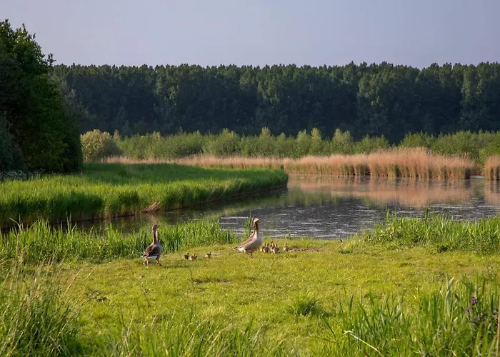 Waterland * Ooltgensplaat