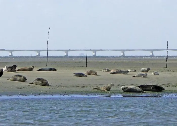 Waterland * Ooltgensplaat