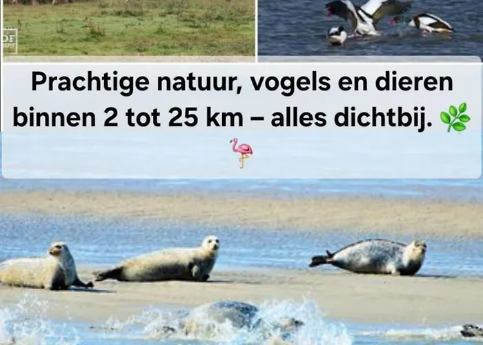 Waterland * Ooltgensplaat